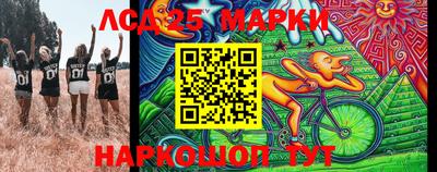 гидра Камышлов