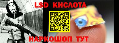 прущие грибы Канаш