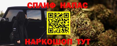 прущие грибы Канаш