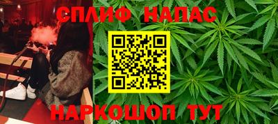 прущие грибы Канаш