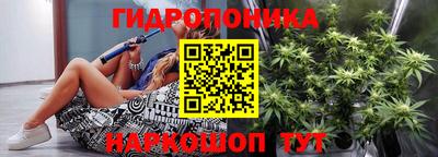 прущие грибы Канаш