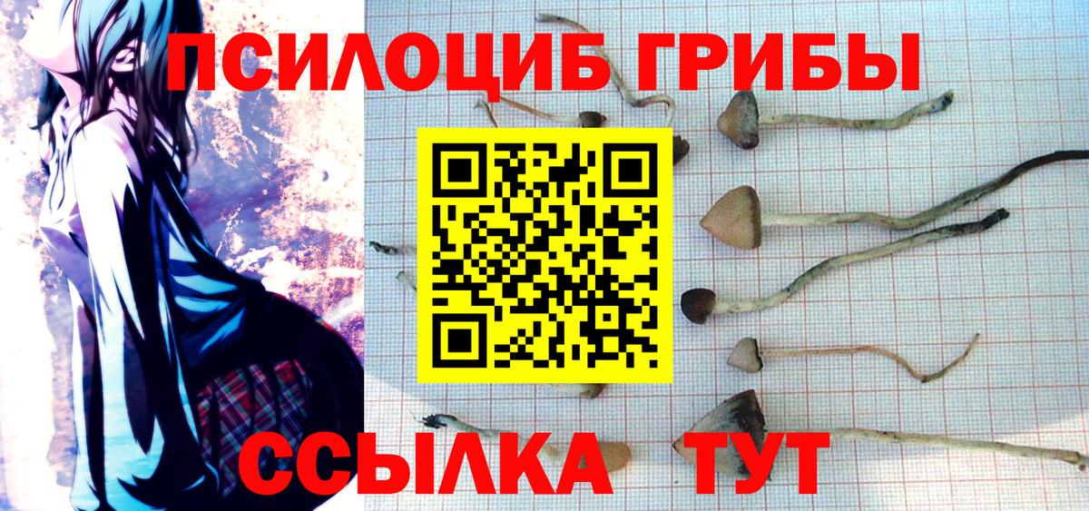 Галлюциногенные грибы Magic Shrooms Курчалой